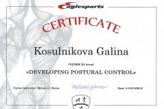 de_SertificateDevelopingPosruralPontrol_Moscow